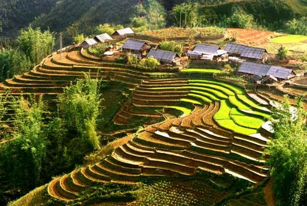 Du lịch Thái Bình Dương