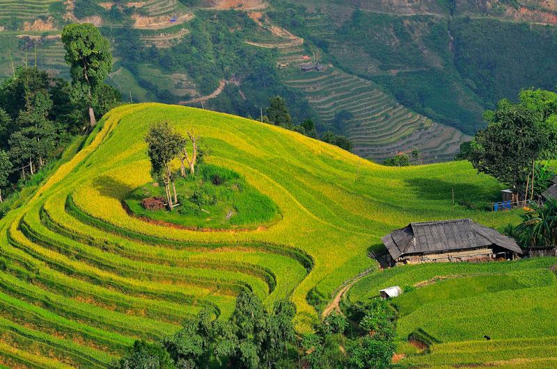 Tour Du lịch Vinh - Hà Giang
