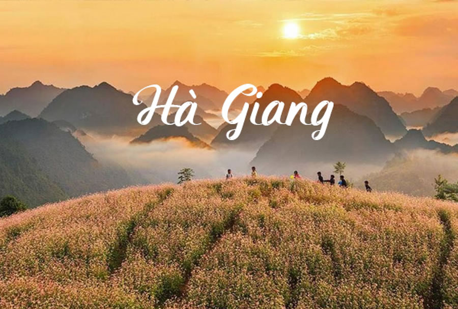 Tour Du lịch Vinh - Hà Giang