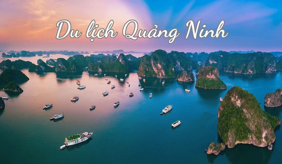 Tour Du lịch Vinh - Hạ Long Quảng Ninh